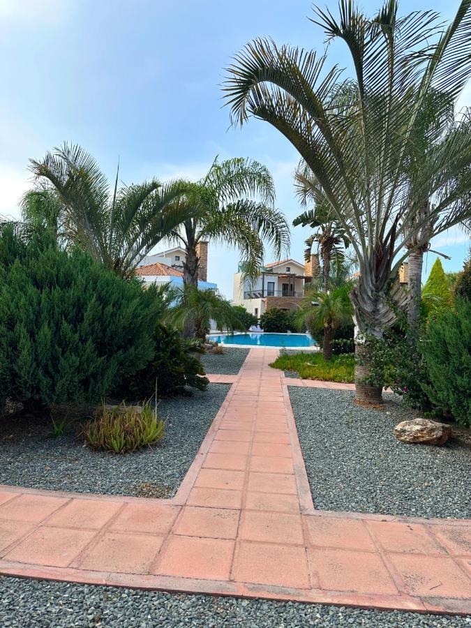 הוילה Sotira Agia Napa Luxury House מראה חיצוני תמונה